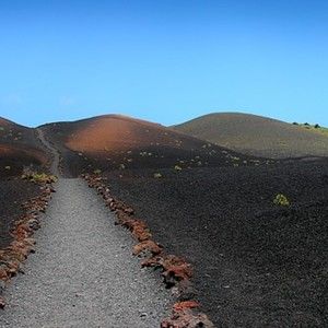 Meet your Posher, Ramona